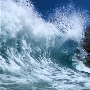 Meet your Posher, Annabelle